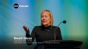 Julie Snow, FAIA | Small Ideas